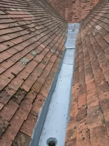 Roof Cleaning